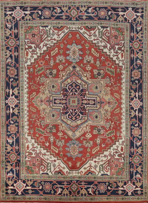 Geometric Heriz Serapi Indian Area Rug 8x10