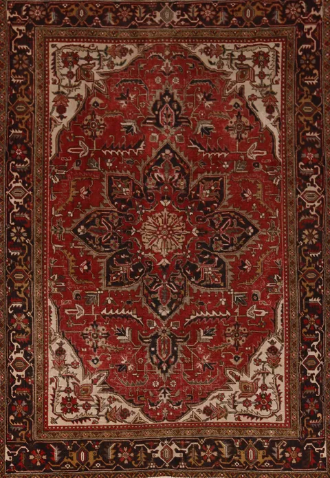 Geometric Heriz Persian Area Rug 8x11