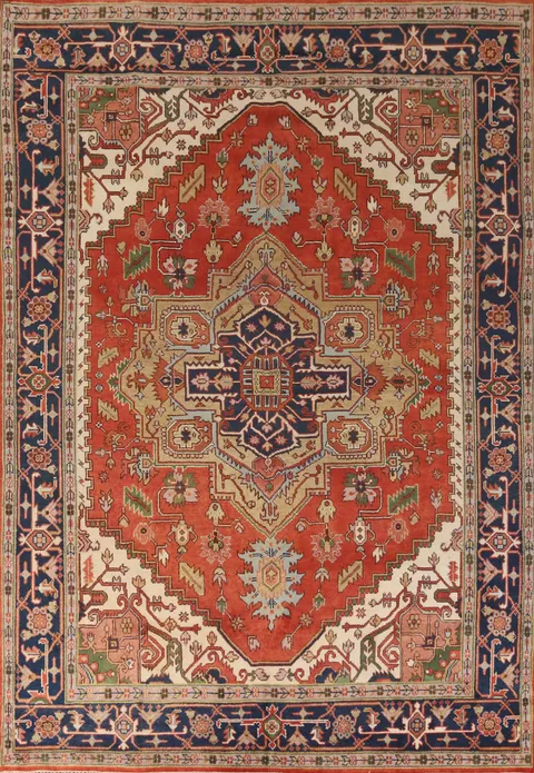 Geometric Heriz Serapi Indian Area Rug 9x12