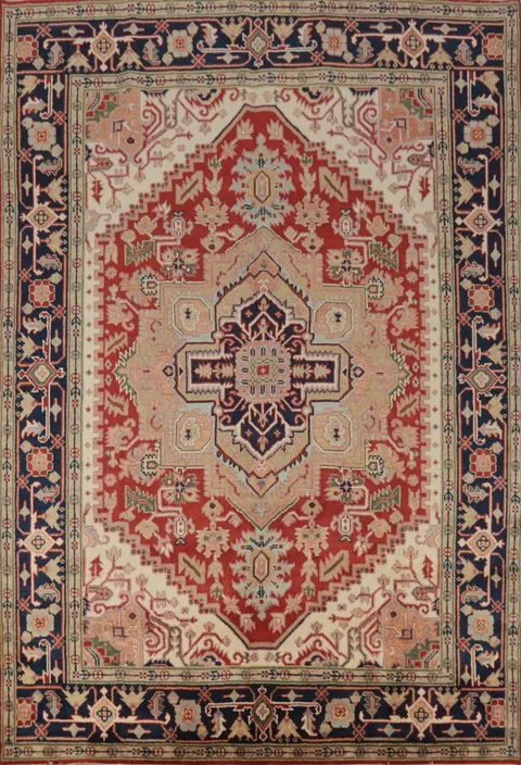 Geometric Heriz Serapi Indian Area Rug 8x10