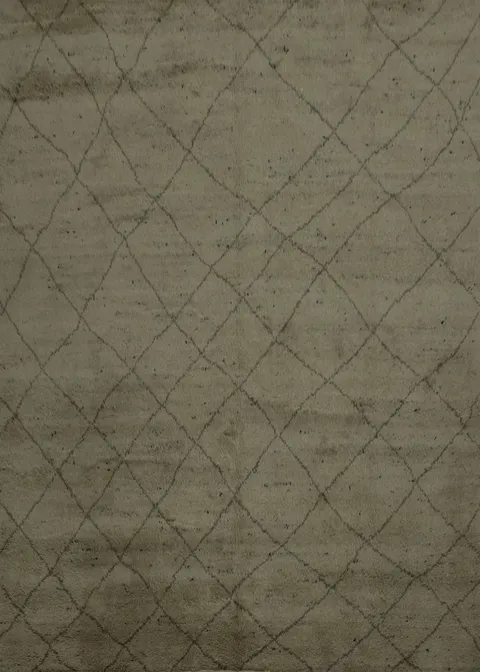 Trellis Moroccan Indian Area Rug 9x9