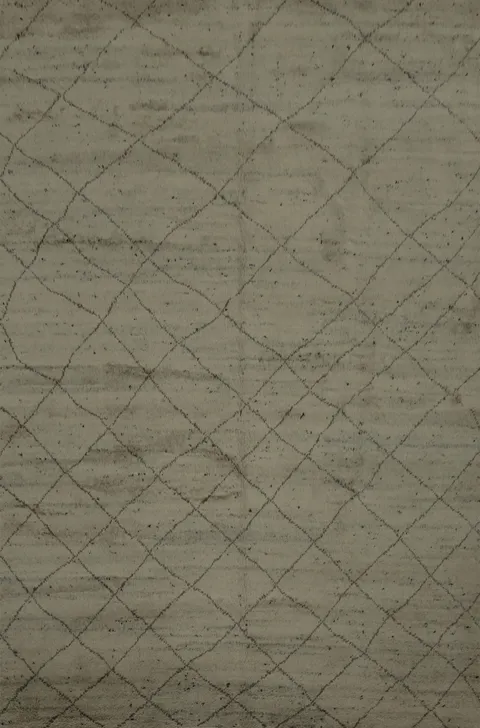 Trellis Wool Moroccan Indian Area Rug 9x12