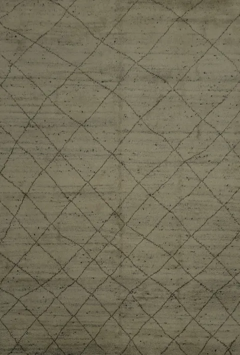 Neutral Tone Moroccan Area Rug 8x10 with Intricate Lattice Details
