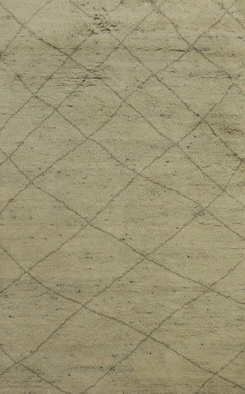 Earth Tone Wool Trellis Moroccan Area Rug 5x8