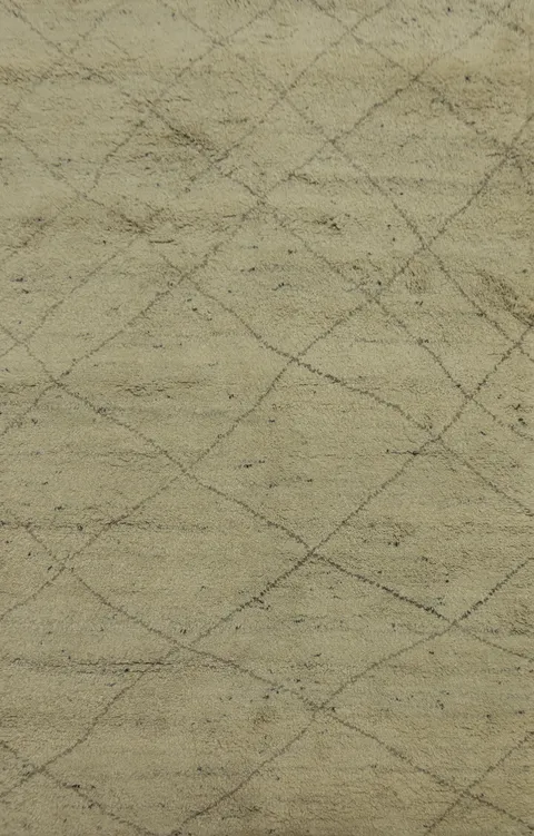Earth Tone Wool Trellis Moroccan Area Rug 5x8