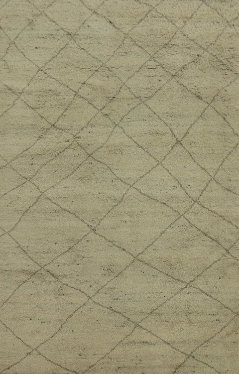 Earth Tone Wool Moroccan Indian Area Rug 6x9