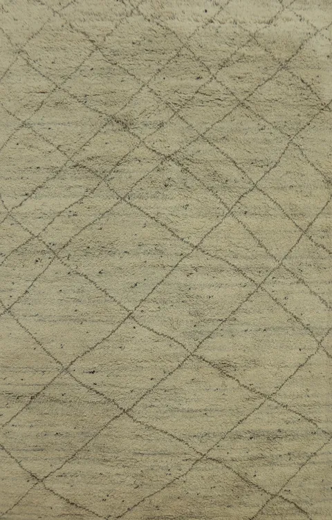 All-Over Trellis Wool Moroccan Area Rug 6x9