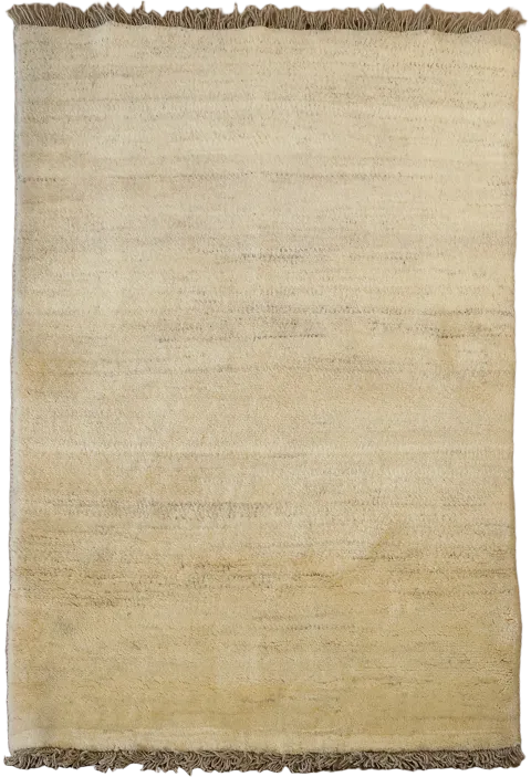 3x5 Gabbeh Shiraz Persian Area Rug