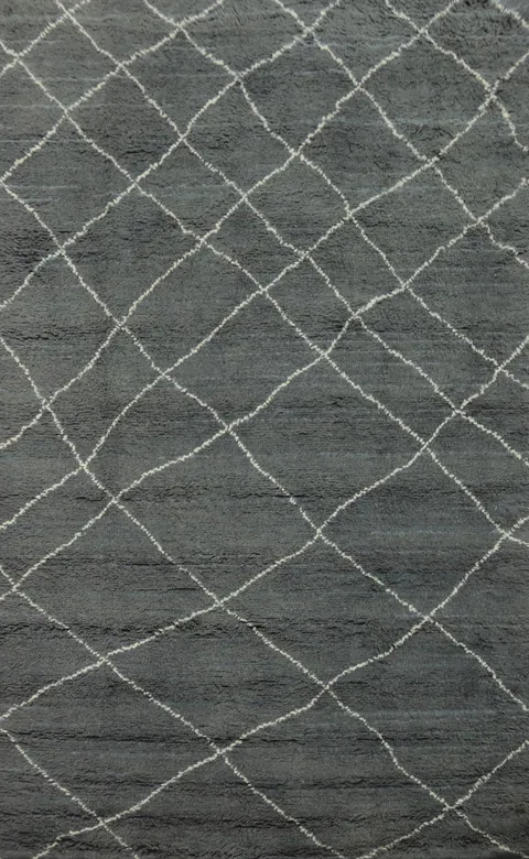 Trellis Moroccan Indian Area Rug 6x9