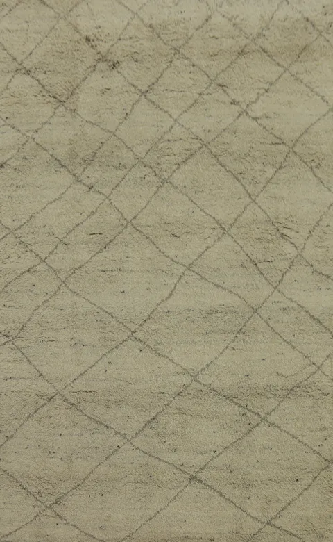 Earth Tone Wool Trellis Moroccan Area Rug 6x9