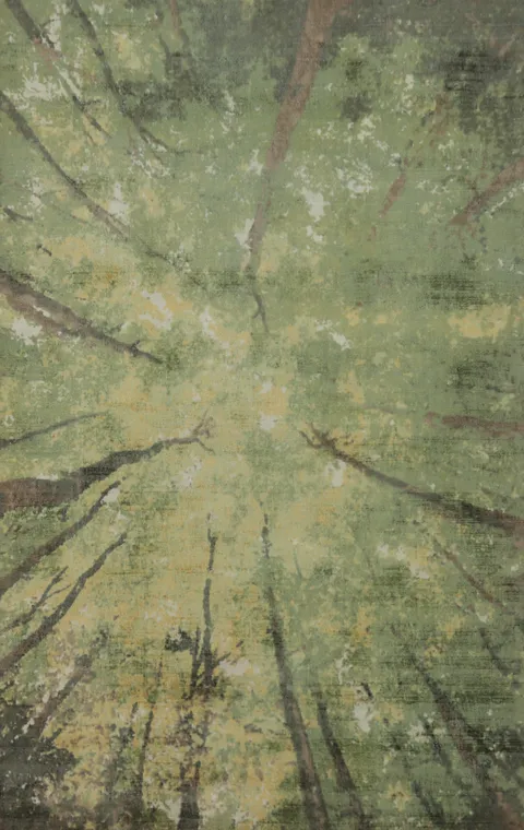 Nature Print Green Modern Abstract Area Rug 5x8