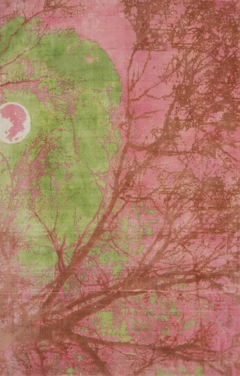 Nature Print Modern Abstract Oriental Rug 4x6