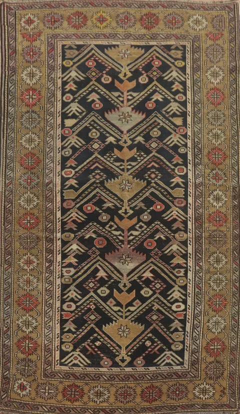 Pre-1900 Antique Shirvan Vegetable Dye Rug 4x6
