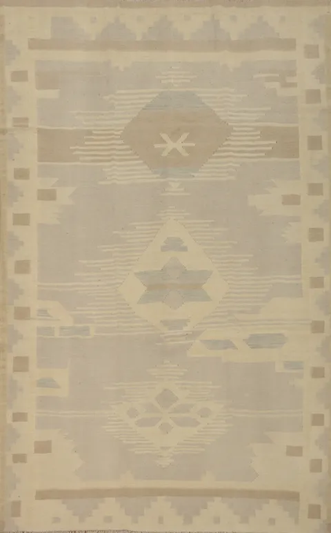 Muted Tones Kilim Handwoven Area Rug 6x9