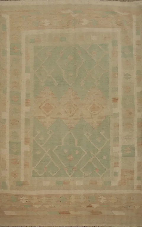Geometric Wool Kilim Vegetable Dye Rug 5x6