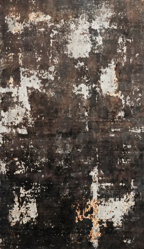 Distressed Look Area Rug 5x8 in Earthy Tones for Living Room Décor