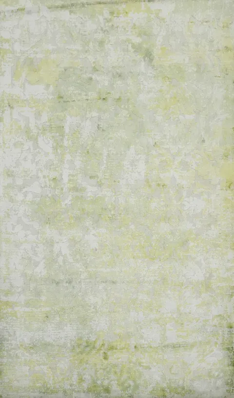 Distressed Look Abstract Modern Rug 4x6