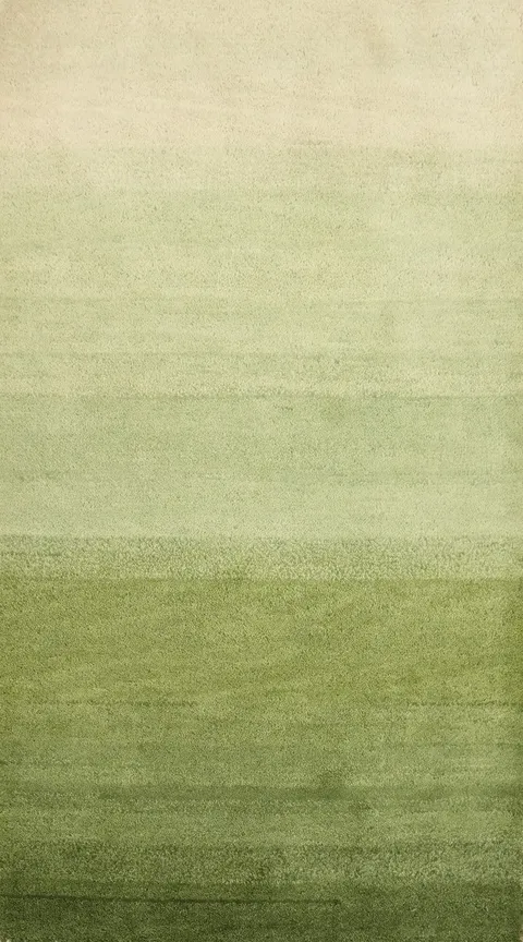 Elegant Green Gradient Gabbeh Rug 2x4 for Modern Home Decor