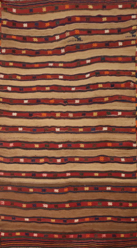 Handwoven Kilim Area Rug 5x10 with Rich Earth Tones and Stripes