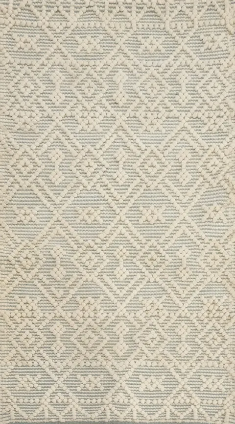 Transitional Modern Gotti Design Rug 2x4