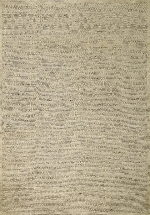 Transitional Modern Gotti Design Area Rug 8x10