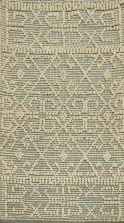 Transitional Modern Gotti Design Rug 2x4