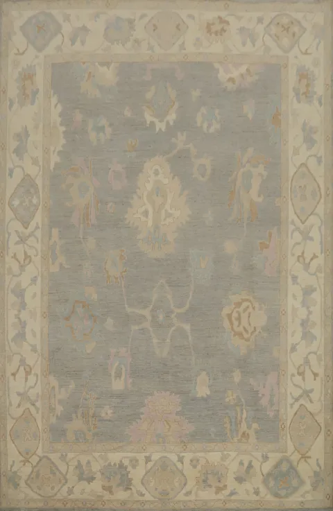 Classic Gray Rug with Subtle Pastel Designs and Detailed Borders 9x12