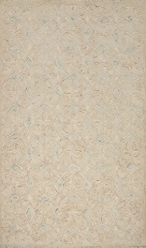 Stylish Soft Earth Tone Modern Area Rug 5x8 with Delicate Patterns