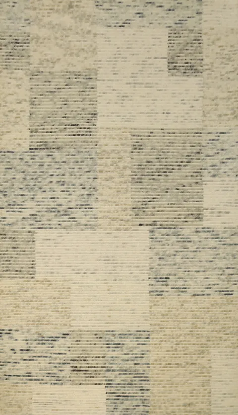 Abstract Minimalist Oriental Area Rug 5x8 in Neutral Tones
