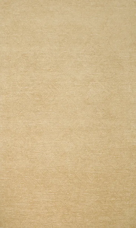 Elegant Textured Abstract Area Rug 5x8 for Contemporary Spaces