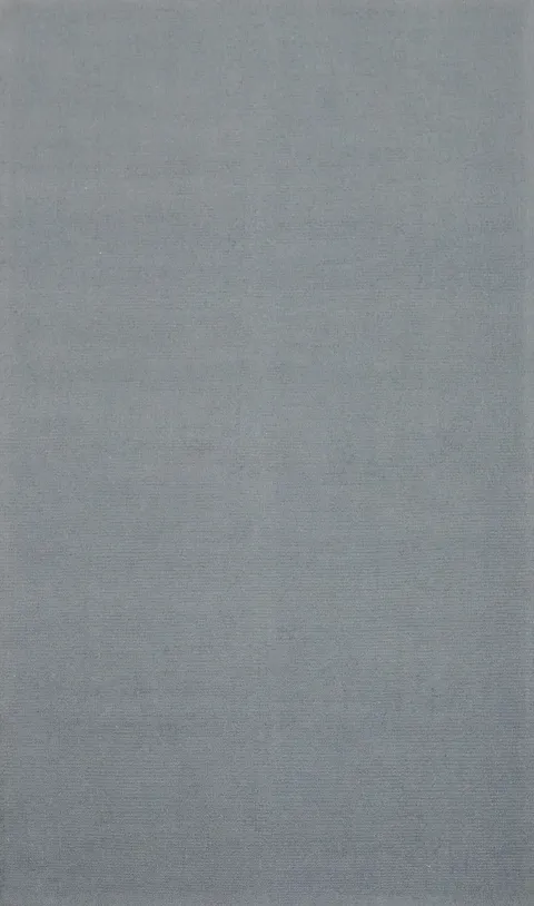 Solid Gray Modern Oriental Area Rug 5x8