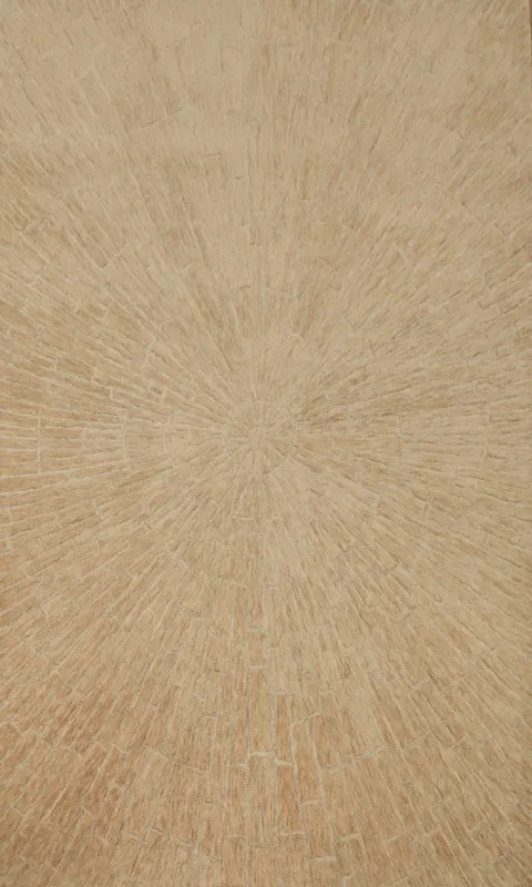 Chic Abstract Area Rug 5x8 with Fine Lines for Sophisticated Decor