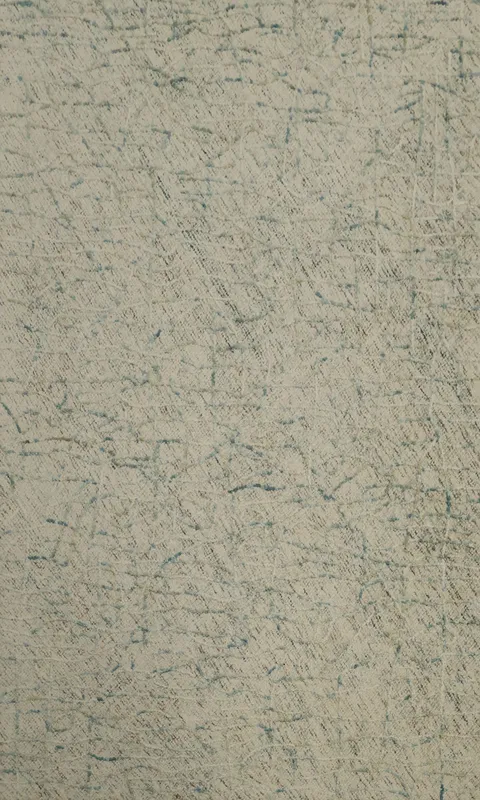 Sophisticated Minimalist Area Rug 5x8 for Contemporary Homes
