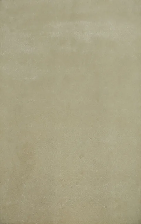 Luxurious Beige Oriental Area Rugs to Enhance Your Living Space