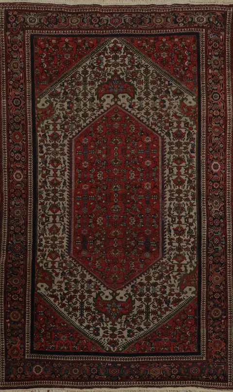Pre-1900 Antique Vegetable Dye Sarouk Farahan Persian Rug 4x6