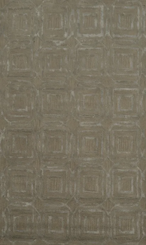 Stylish Textured Pattern Trellis Modern Rug 4x6 in Neutral Shades