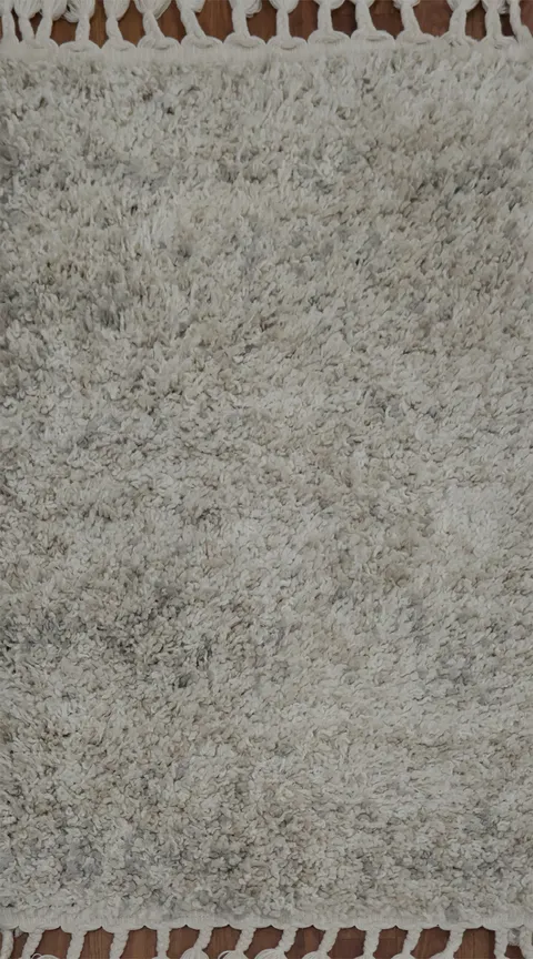 Plush Shag Modern Turkish Rug 2x3 for a Comfy, Inviting Living Room