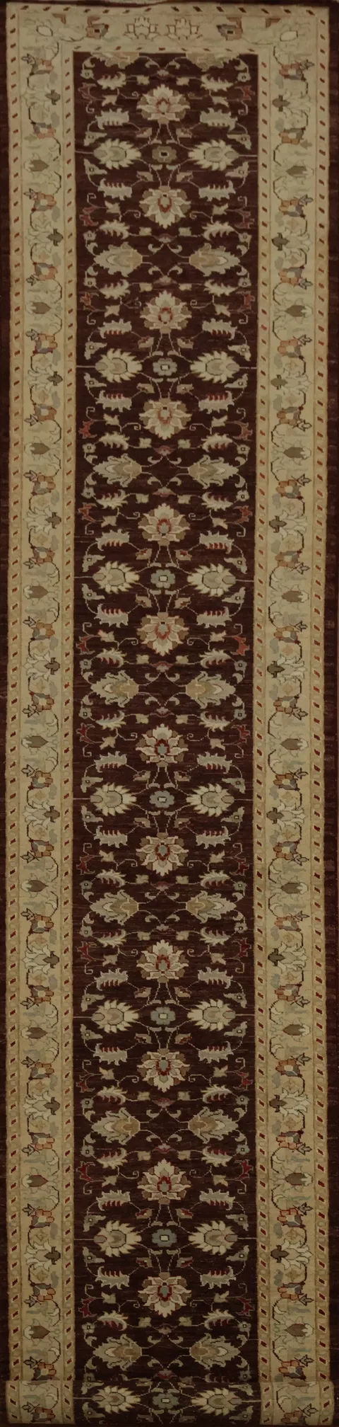 Long Peshawar Runner Rug 3x18 with Ornate Floral Motifs