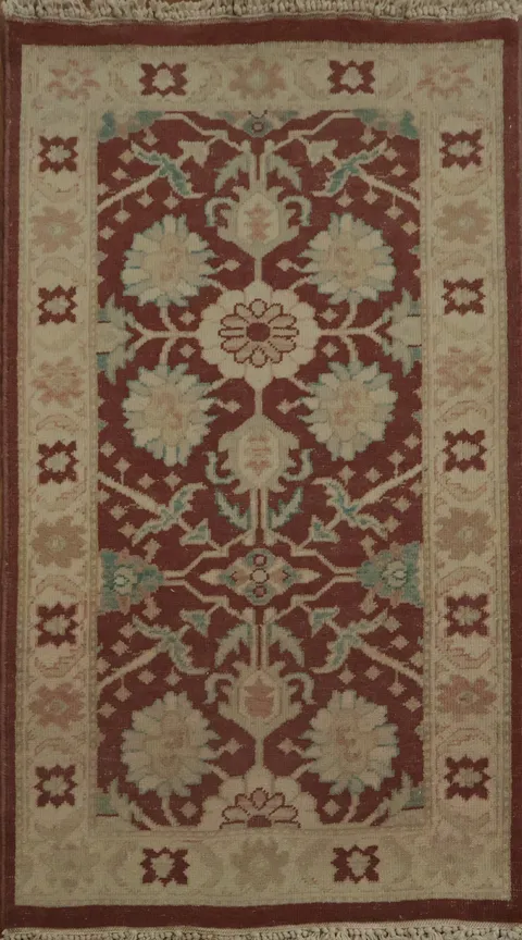 Handcrafted Ornate Pattern Rug with Intricate Floral Details 2x4