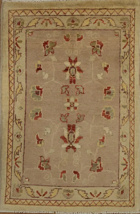 Floral Dirty Rose Pink and Beige Rug 2x3