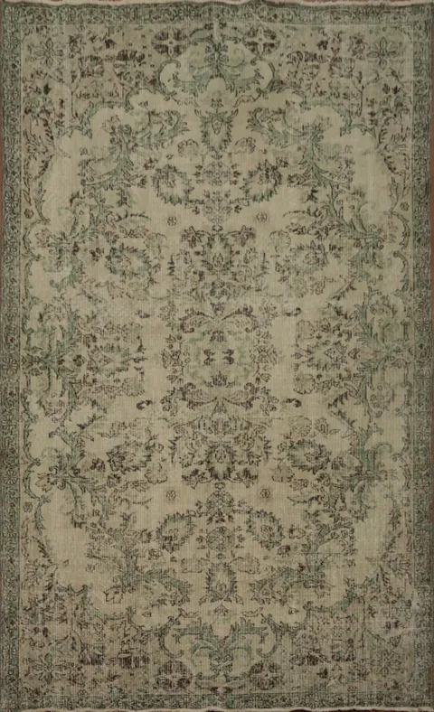 Luxury Area Rug with Classic Vine Pattern Motifs 6x9 Distressed