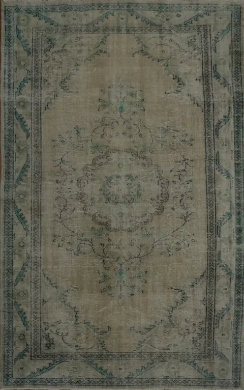 Muted Toned Rug with Vintage Distressed 6x9