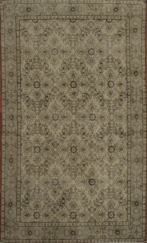 Classic Beige and Taupe Turkish Rug 6x10