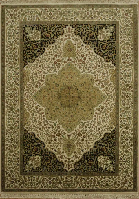 Traditional Ivory Agra Oriental Area Rug 6x9