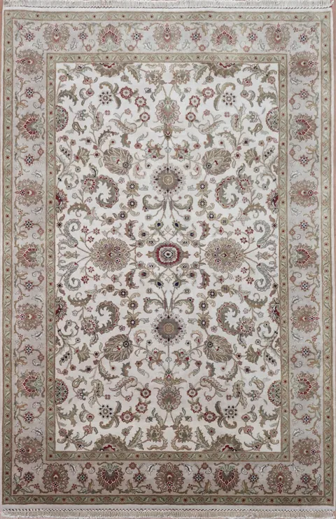 Elegant Floral-Inspired Agra Oriental Area Rug 6x9