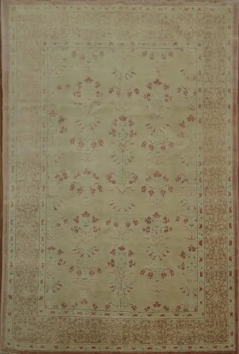 Graceful Floral Ziegler Oriental Area Rug 6x9