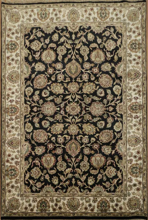 Agra Oriental Area Rug 6x9