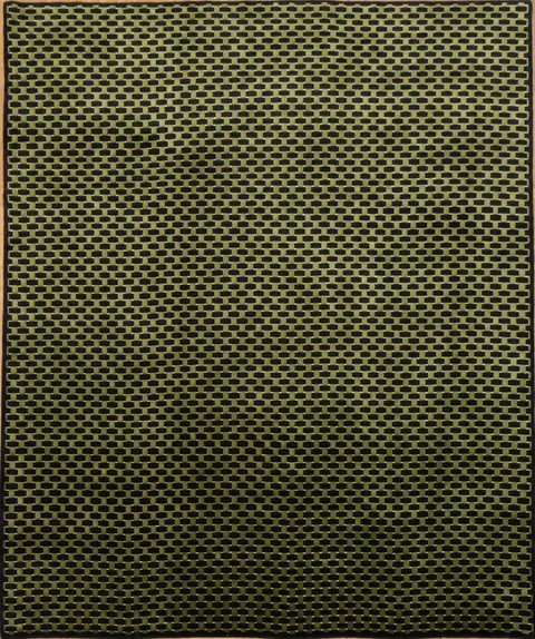 Elegant Green & Black Modern Design Gabbeh Oriental Area Rug 8x10