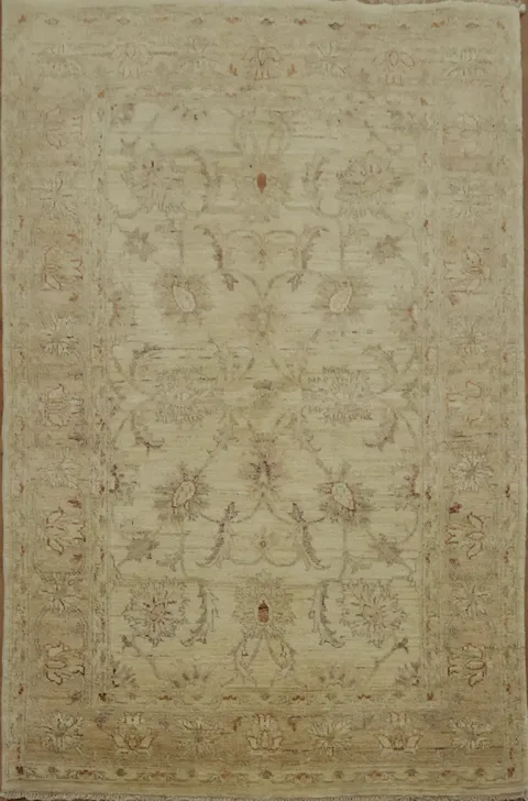 Intricate Patterned Traditional Oriental Ziegler Area Rug 4x6