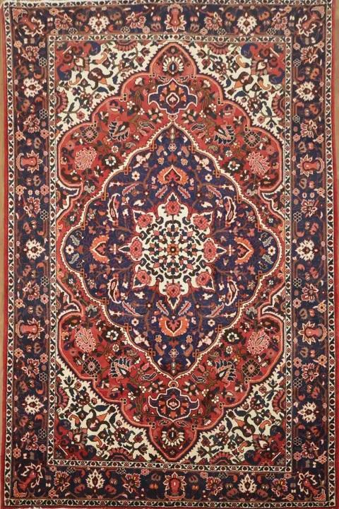 Stylish Traditional Bakhtiari Persian Area Rug 7x10